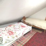 Drevenica Viki 1 *