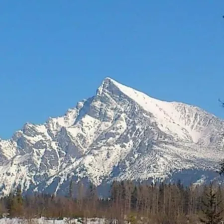 בית נופש Drevenica Viki 1 *