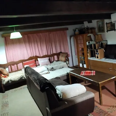 Drevenica Viki 1