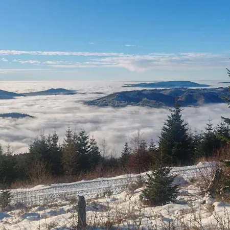 Drevenica Viki 1 * פריבילינה