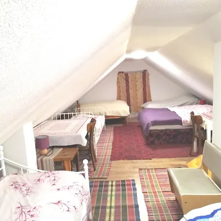 Drevenica Viki 1 בית נופש