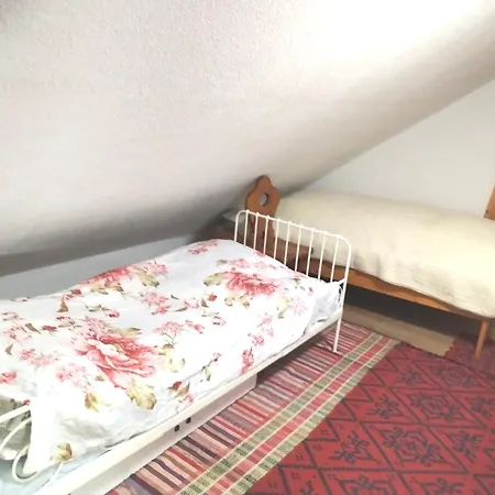 Drevenica Viki 1 *
