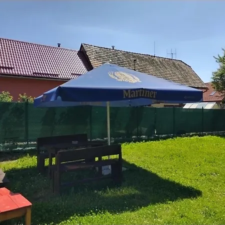 Drevenica Viki 1