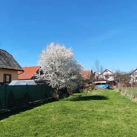 Drevenica Viki 1 Feriehus Pribylina
